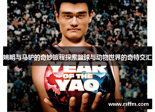 姚明与马驴的奇妙旅程探索篮球与动物世界的奇特交汇