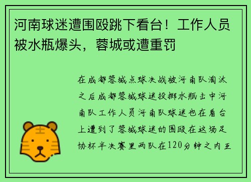 河南球迷遭围殴跳下看台！工作人员被水瓶爆头，蓉城或遭重罚